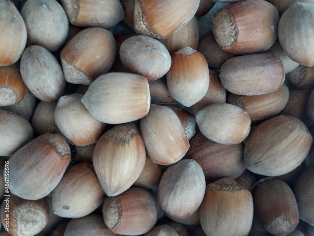 close up of hazelnuts