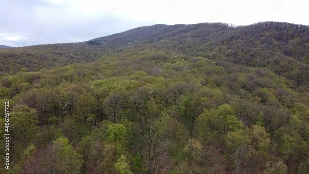The mountains. River. Forest. South of Russia. Resorts of Russia. Beautiful spring mountains and a river in the Caucasus. Goryachiy Klyuch. The mountains. River. Forest. South of Russia. Resorts of Russia. Beautiful spring mountains and a river in the Caucasus. Goryachiy Klyuch.