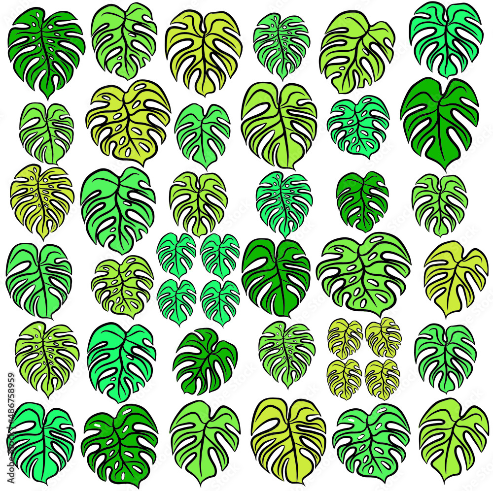 Adam's rib leaves or monstera leaves pattern. Set of four plant leaves. Vector design for fashion print and backgrounds.