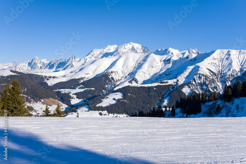Mont Blanc massif in the middle of the forest in Europe, France, Rhone Alpes, Savoie, Alps, in winter, on a sunny day.