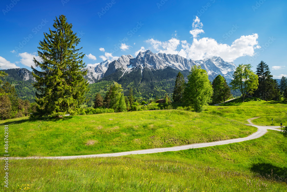 Idyllic alpine landscape with green meadows and rocky mountains in summer. Zugspitze, Wetterstein, Bavaria, Germany, Europe