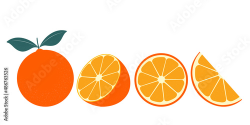 Set of fresh oranges. Orange fruit isolated on white background. Vector illustration for design and print