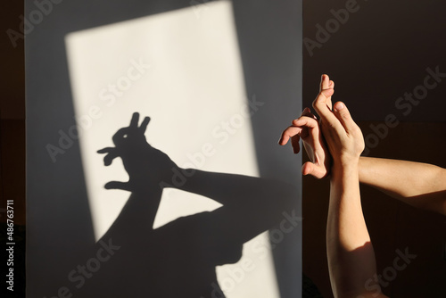 Improvised shadow theater, hands show silhouette of hare on white surface in rays of sunlight photo