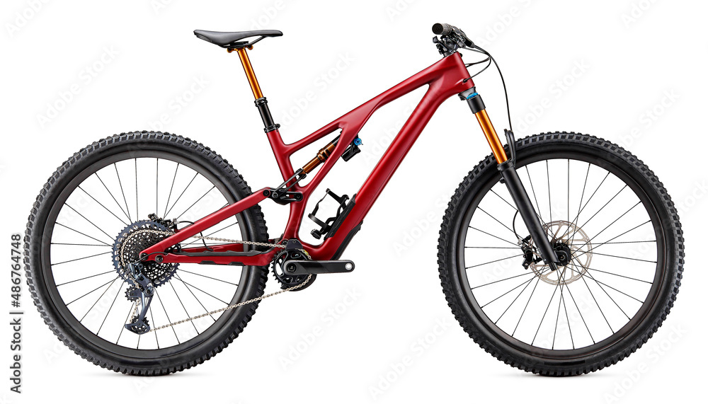 Mountain Red Electric Bicycle Isolated on White Background. Travel Bike for  Speed Hardtail with Strong Suspension Fork. Extreme Sport Cycle with Double  Suspension and Big Disk Brakes. Side View. foto de Stock