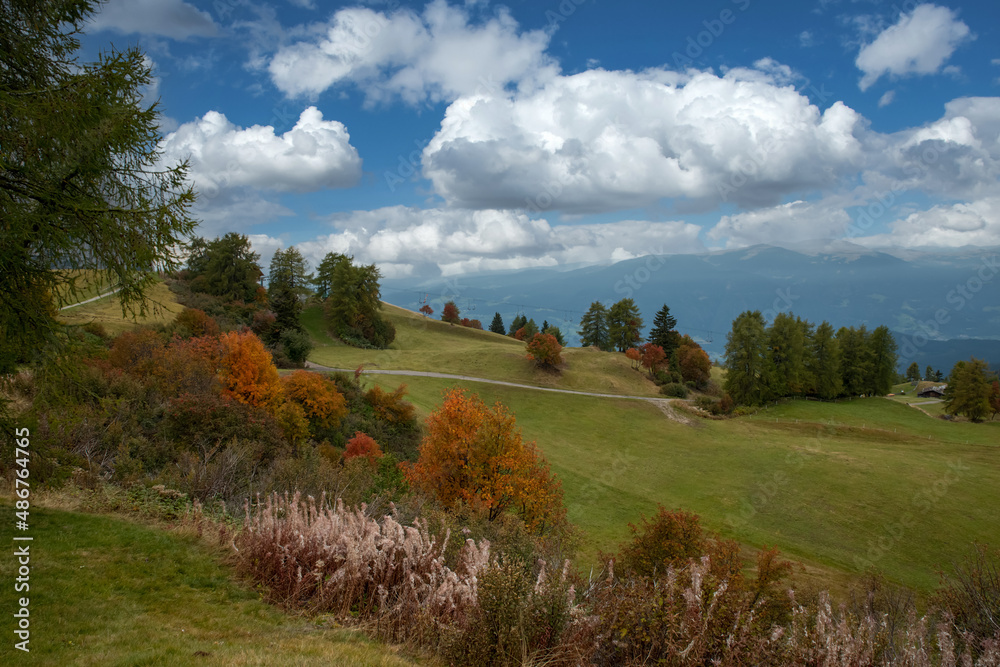 Fototapeta premium Herbst auf der Seiseralm, Südtirol