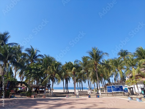 Palm trees by the beach in Playa Zicatela, Puerto Escondido, Mexico © Richard