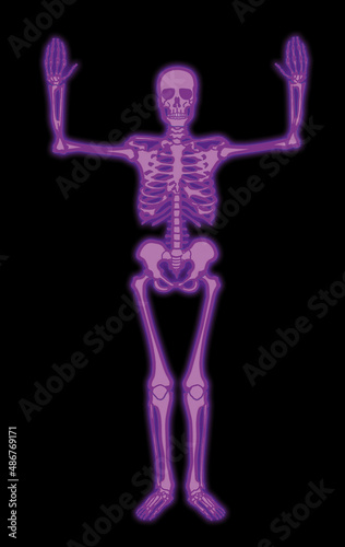 squelette, anatomie, corps, muscle, medicales, violet, illustration, humain, os, 3-d, crâne, radiographie, os, biologie, musculaire, médecine, femme, osseux, science, santé, colonne vertébrale, gens,