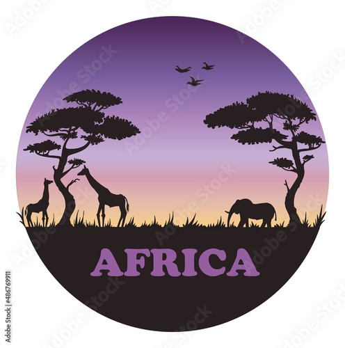 African savanna at sunset. Elephants and giraffes in their natural habitat. Tall trees ..