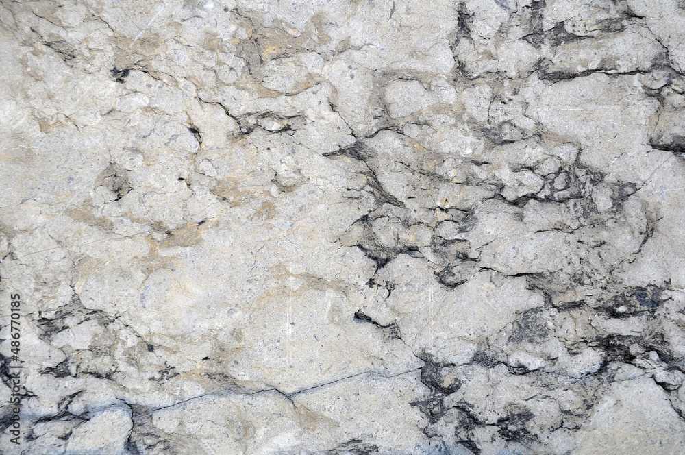 The texture of a stone wall made of shell rock. Wall decoration from materials of natural origin. The texture of a stone wall made of shell rock. Wall decoration from materials of natural origin.
