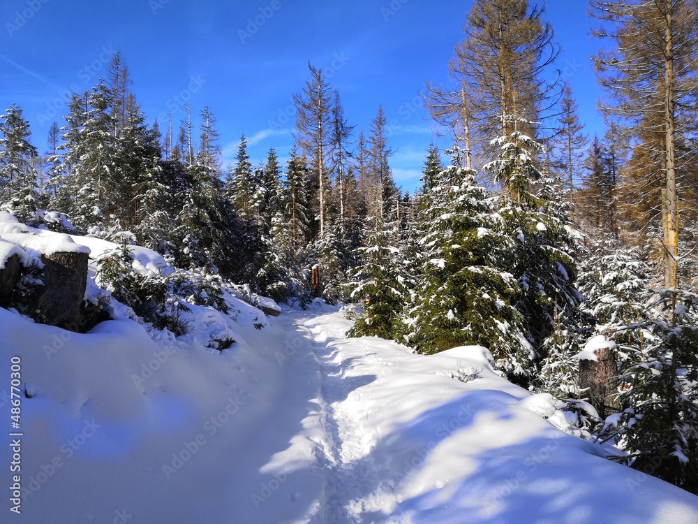 Eine Wanderung zum Achtermann (Achtermannshöhe) im Harz im Winter Eine Wanderung zum Achtermann (Achtermannshöhe) im Harz im Winter