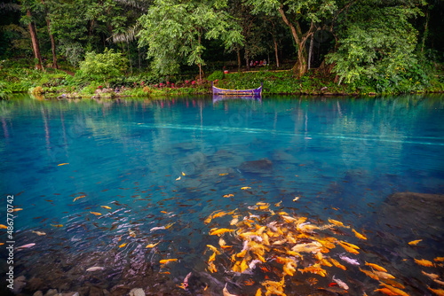 Situ Cipanten of Majalengka. Beautiful blue lakes in the forest with green trees. Spot tourism of west java. photo