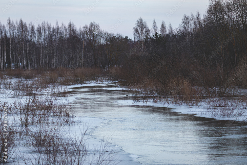 huge floods in small forest river in spring, melting snow and ice