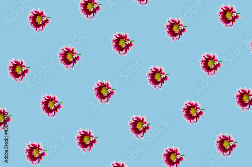 Spring pattern with purple flowers on the pastel blue background