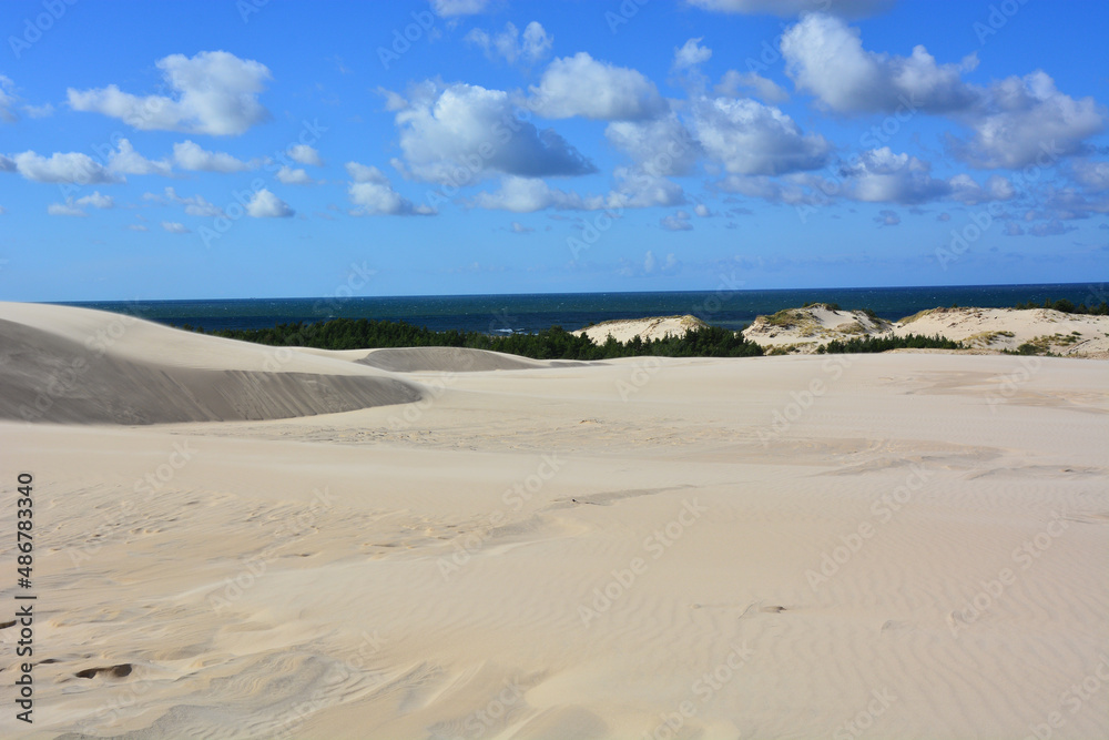 Moving sand dunes and Baltic Sea in Slowinski National Park near Leba in Northern Poland