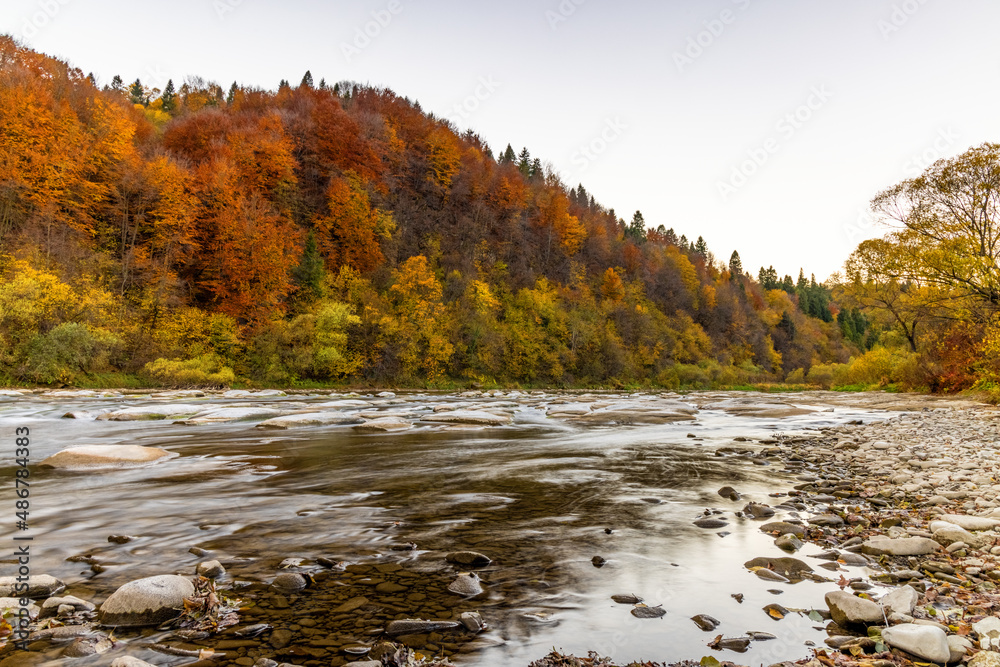 Rocky cliff with yellowed trees and mountain river in autumn Rocky cliff with yellowed trees and mountain river in autumn