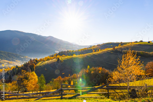 Grassy slopes with lush trees against mountains at sunset