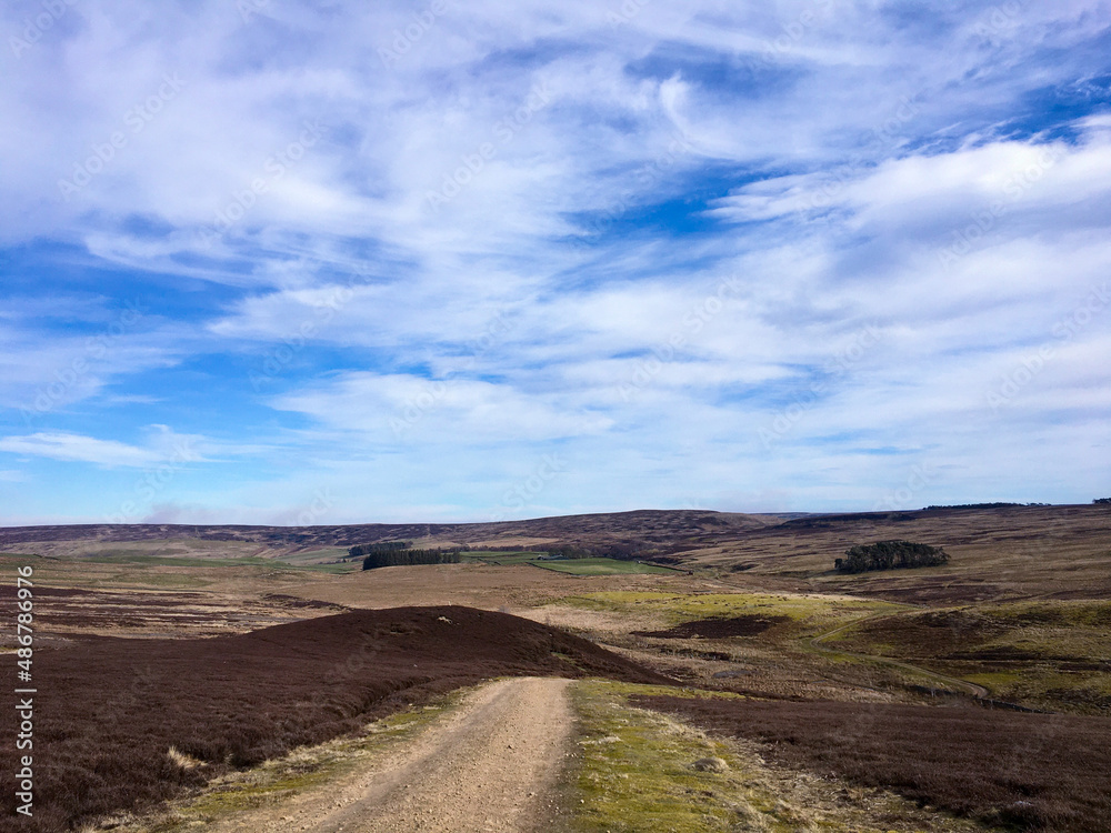 Upland dry track winding across a moor through heather in the summer Upland dry track winding across a moor through heather in the summer