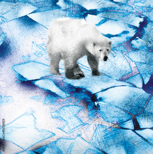 Eisbär läuft über Eisschollen, Illustration