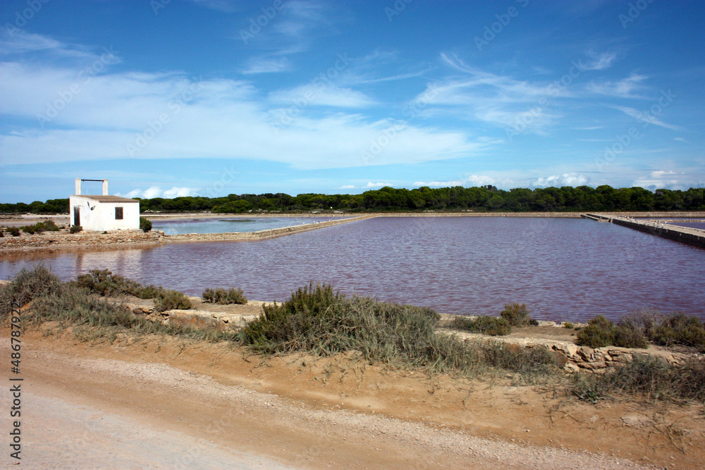 the unique spectacle of the colors of the salt flats of formentera the unique spectacle of the colors of the salt flats of formentera