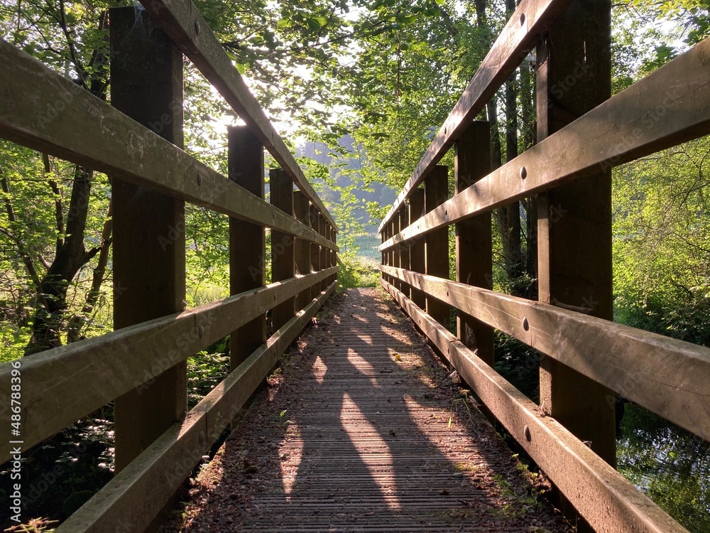 Wooden footbridge with railings over a stream in woodland in the countryside