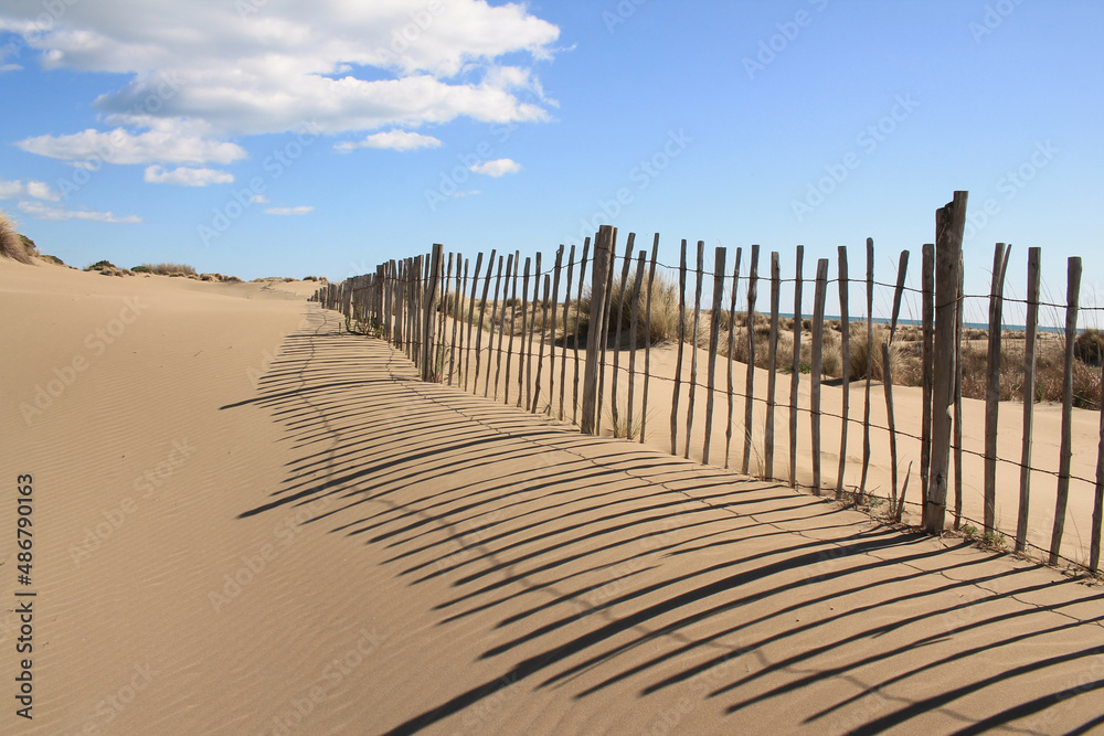 Amazing sandy beach in Camargue region, in the South of France
