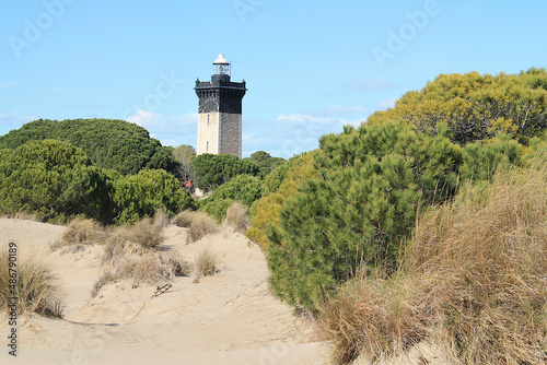 The famous Espiguette beach  a beautiful sandy beach in Camargue  France