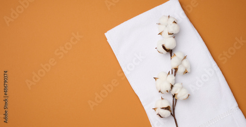 folded white cotton terry towel and sprigs of cotton flower on a orange background, top view