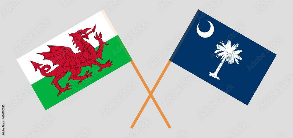 Crossed flags of Wales and The State of South Carolina. Official colors. Correct proportion Crossed flags of Wales and The State of South Carolina. Official colors. Correct proportion