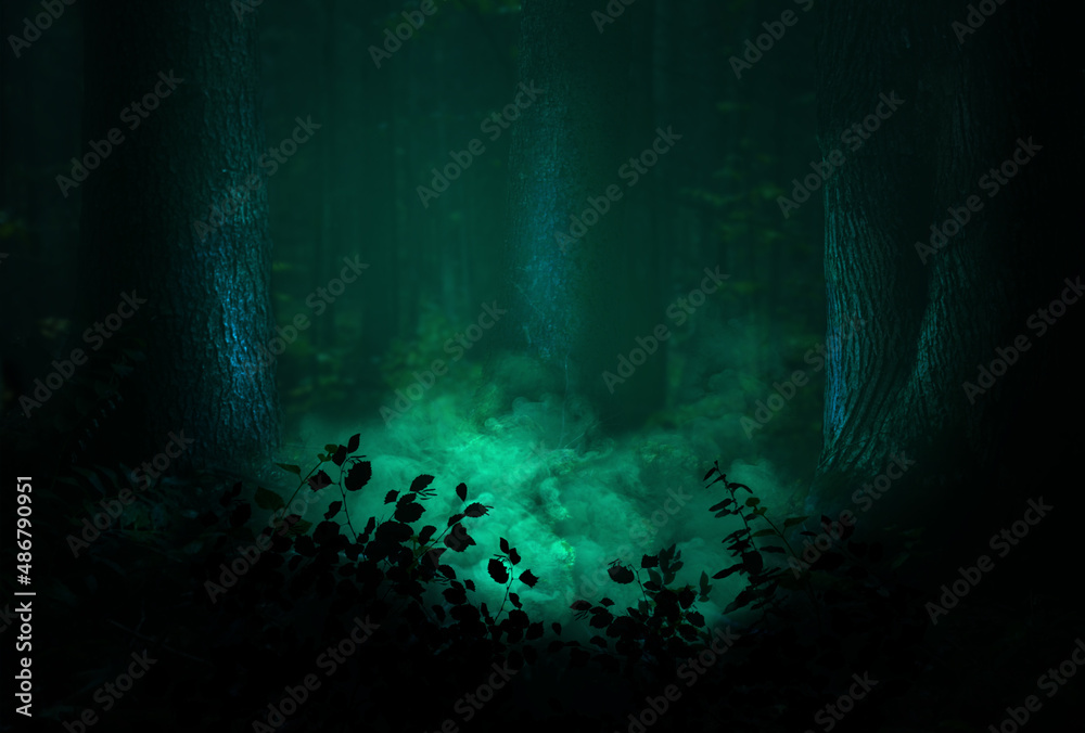 Magical forest and mysterious smoke between old trees and leaves silhouettes.  Enchanted woods landscape in darkness