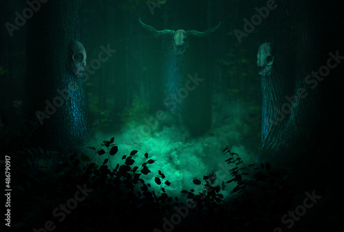 Pagan forest ritual smoke, skulls on the trees. Atmospheric landscape, mystical woods of druid worship