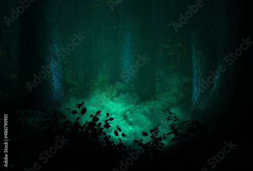 Magical forest and mysterious smoke between old trees and leaves silhouettes. Enchanted woods landscape in darkness