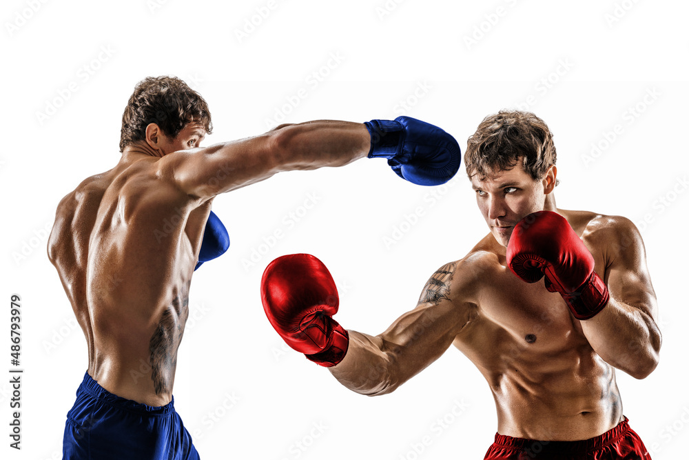 Creative collage of professional boxers who fighting. Red corner. Blue corner  - obrazy, fototapety, plakaty 