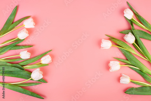 Fototapeta Naklejka Na Ścianę i Meble -  Background for banners, white beautiful tulips on the sides on an isolated pastel pink background with copyspace. Flatlay. Spring concept. object for decoration for women's day, mother's day
