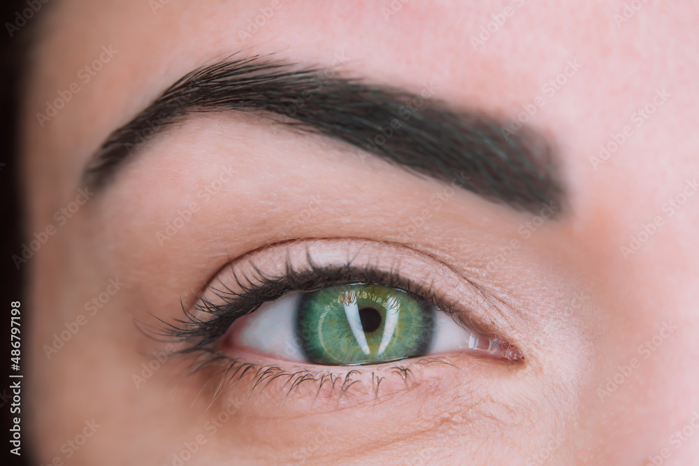 Fototapeta premium Female green eye close up extreme macro, iris contracts. Wide open human eye of woman.