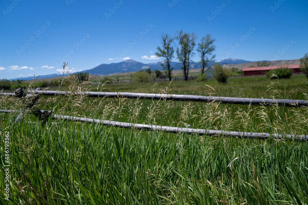 Peaceful summer ranch scene in Montana, with a rustic fence and tall grass