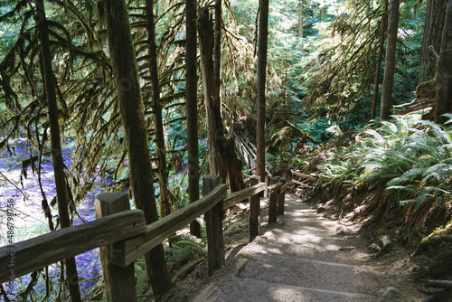 Very steep steps along the hiking trail to Marymere Falls in Olympic National Park photo