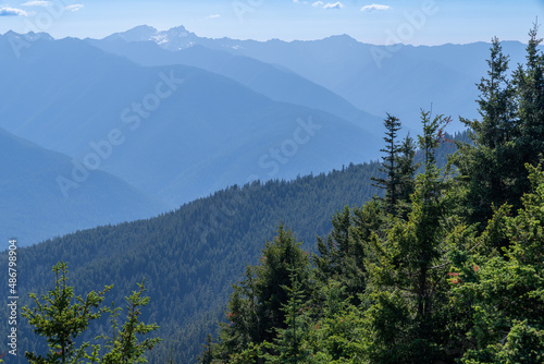 Sunny view of the Cascade Mountains from the Hurricane Hill hiking trail in Olympic National Park