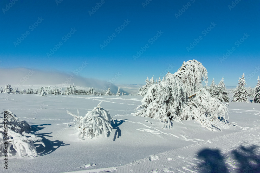 Obraz premium Winter landscape of Vitosha Mountain, Bulgaria