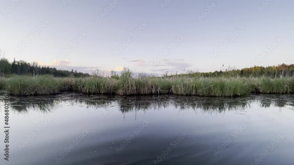 Floating Down River Past Tall Grass in Sunset Floating Down River Past Tall Grass in Sunset