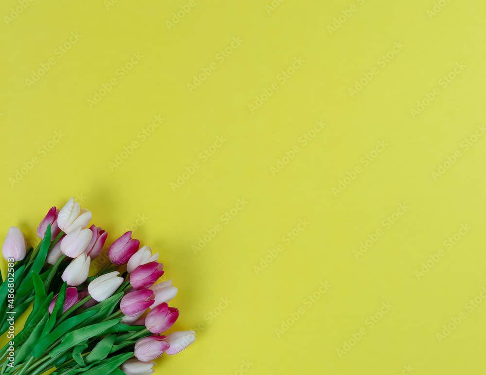 Tulip flowers on a bright yellow background for the Mothers day or Easter holiday season