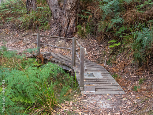 Boot cleaning station on a little wooden bridge - Princetown, Victoria, Australia photo