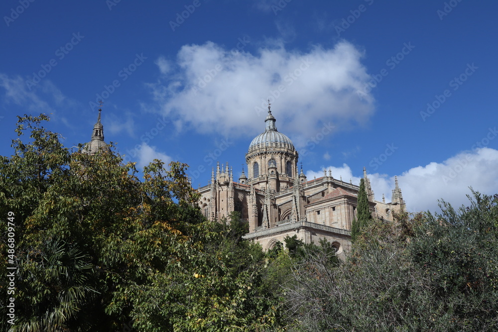 Catedral de Salamanca desde el Huerto de Calisto y Melibea