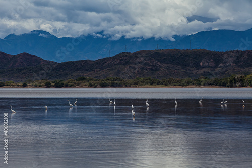 Colombian landscape photo