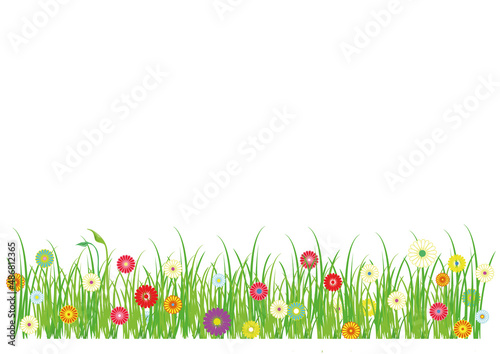 Green grass flowerbed with blooming flowers illustration isolated white background. Banner for design use in vector and jpg format with place for text.