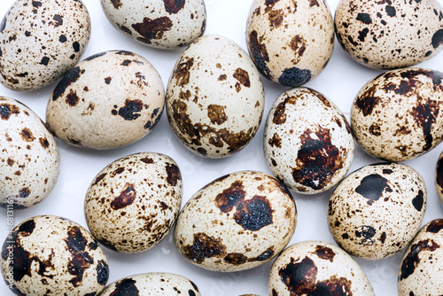 quail eggs close up on white background