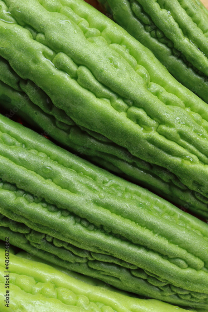 Close up skin of bitter melons (Momordica charantia) Close up skin of bitter melons (Momordica charantia)