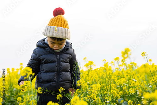 A little boy with a hat plays in a field of rape flowers