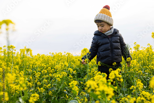 A little boy with a hat plays in a field of rape flowers