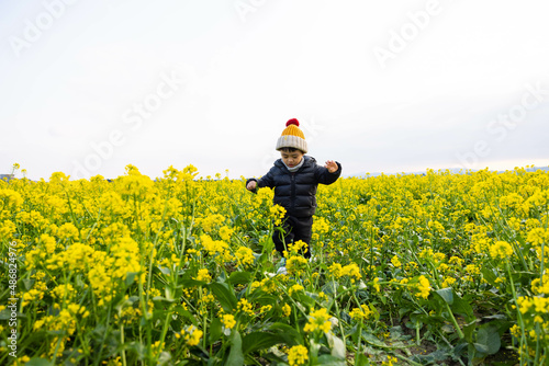 A little boy with a hat plays in a field of rape flowers