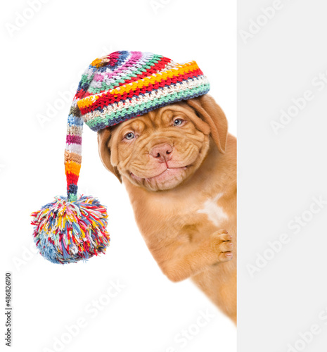 Smiling puppy wearing a warm hat looks behind empty board. isolated on white background